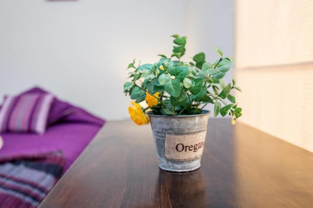 Pier 242 Miraflores B&B Лима Стая снимка